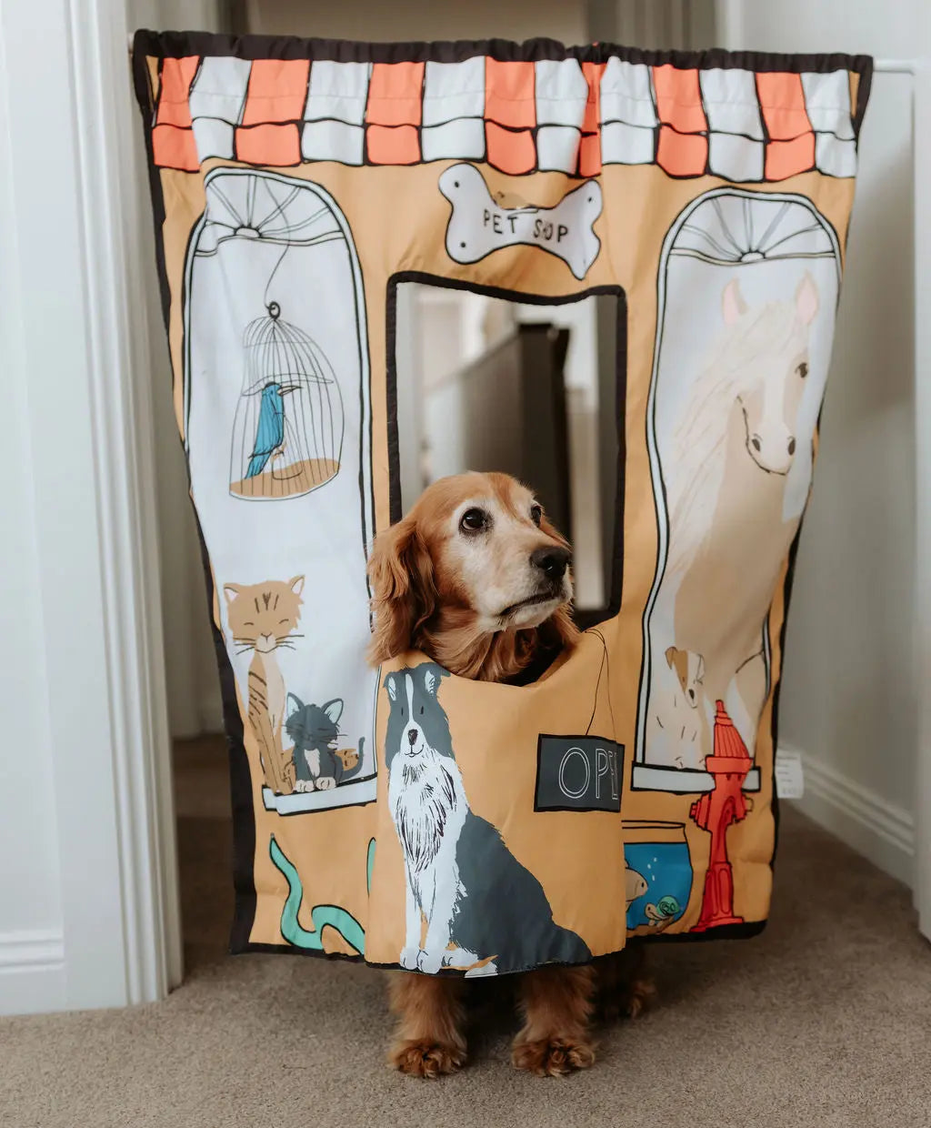Pet Shop/ Vet Play Panel The Cozy Cube- Play Panels