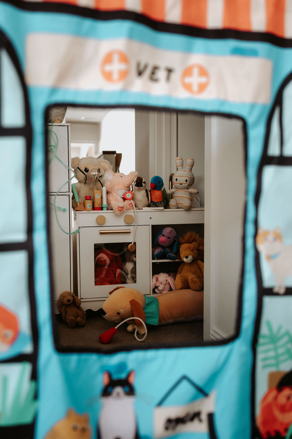 Pet Shop/ Vet Play Panel