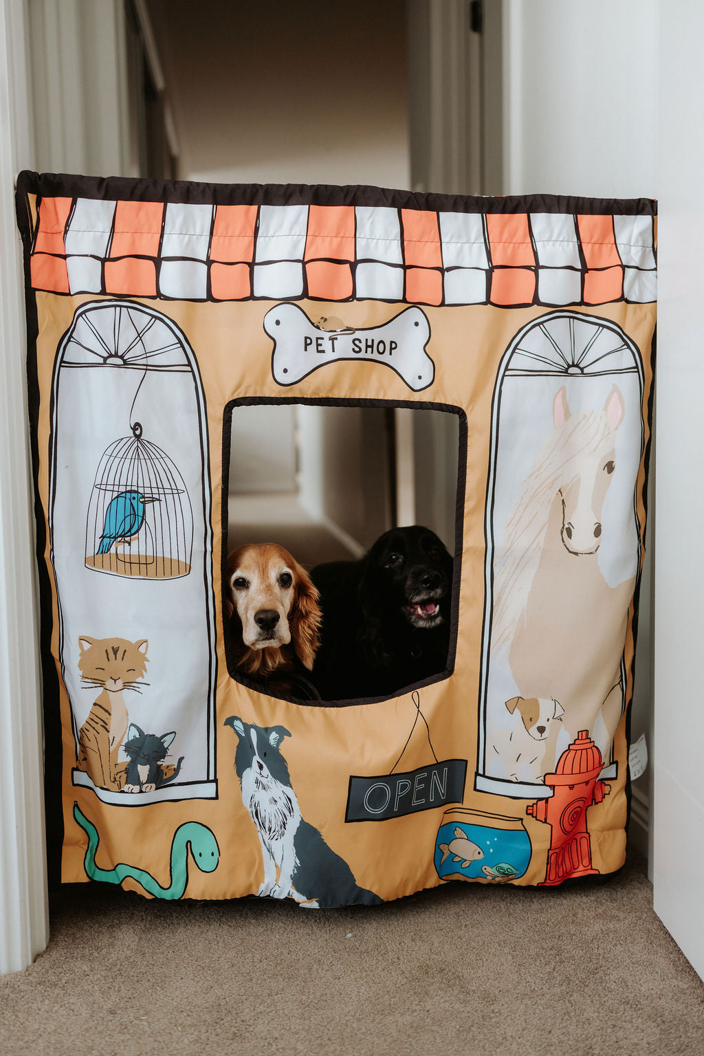 Pet Shop/ Vet Play Panel