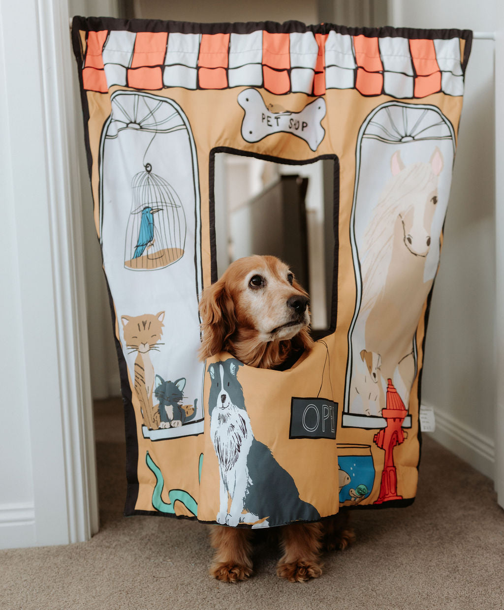 Pet Shop/ Vet Play Panel