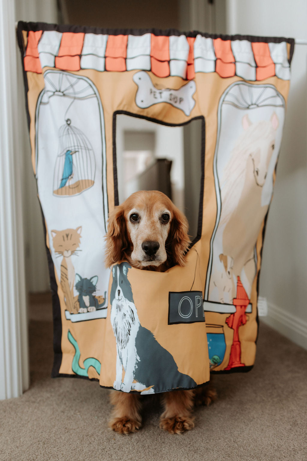 Vet & Pet Shop Bundle