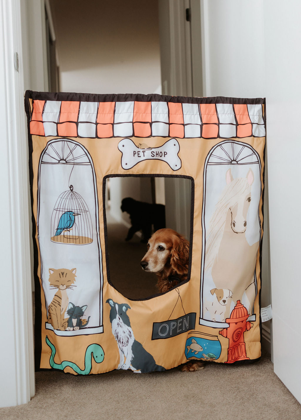 Pet Shop/ Vet Play Panel
