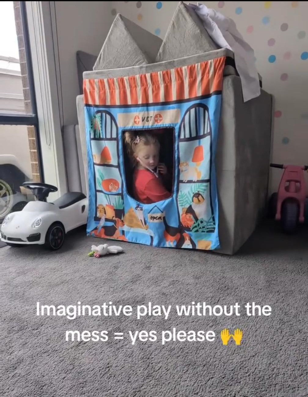 Pet Shop/ Vet Play Panel